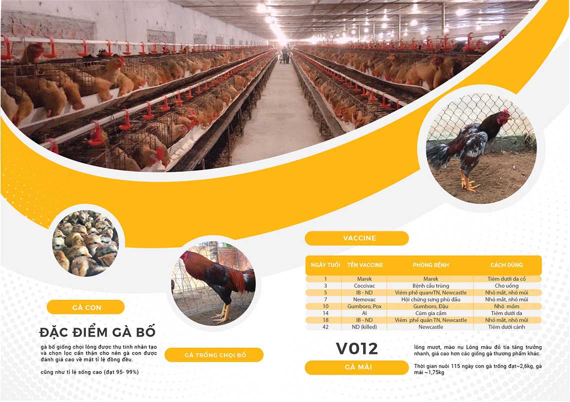 Lại Vượng - Thiết kế logo và nhận diện thương hiệu Công ty Lại Vượng